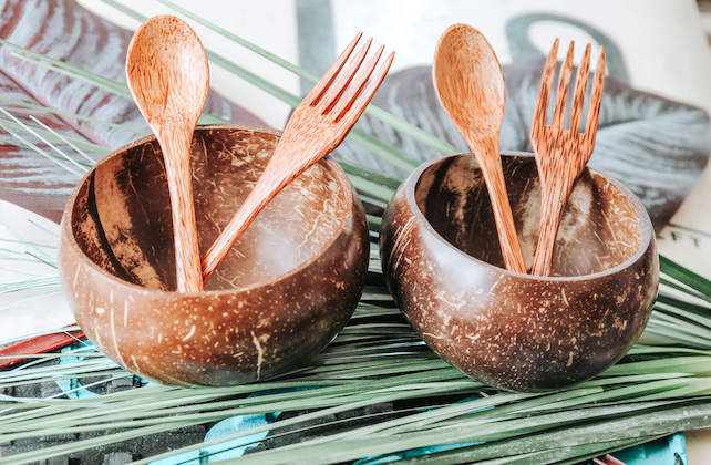 Coconut-Cutlery-2 (1)